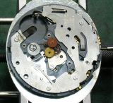 altanus�N���m�O���t