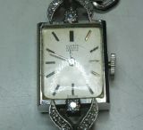 �����X�i���_��